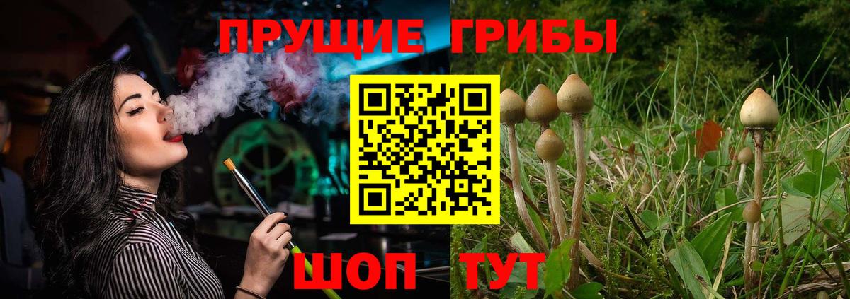 Псилоцибиновые грибы прущие грибы  Вход с VPN  Азов 